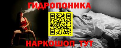 apvp Дубна