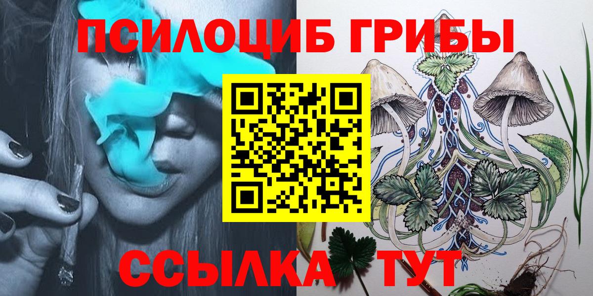 Галлюциногенные грибы Magic Shrooms Великий Устюг